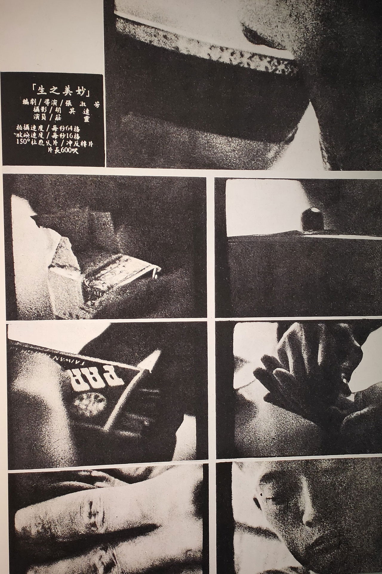 The Joy of Life Backdrop