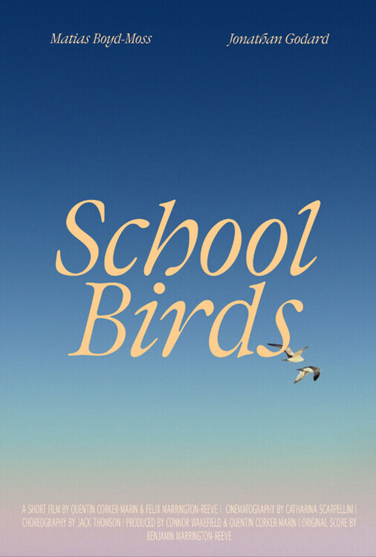 School Birds Backdrop