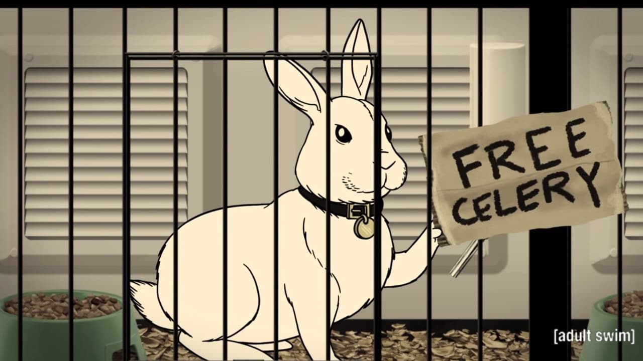 Aqua Teen Hunger Force - Season 11 Episode 6 : Rabbit, Not Rabbot