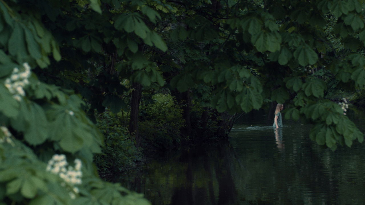 Nebelkind: The End of Silence backdrop