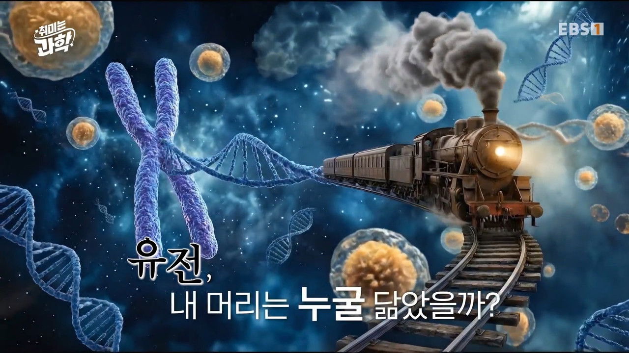 취미는 과학 — Épisode 66