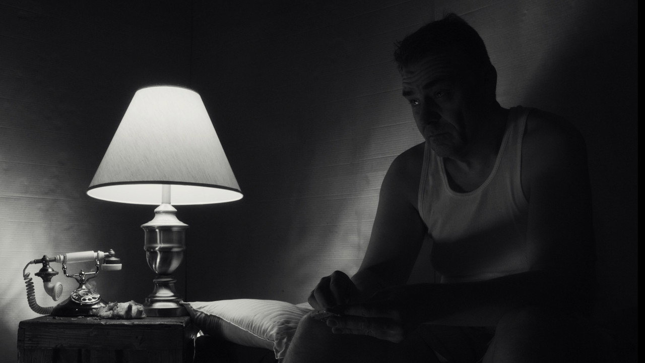 The Visitor still 2