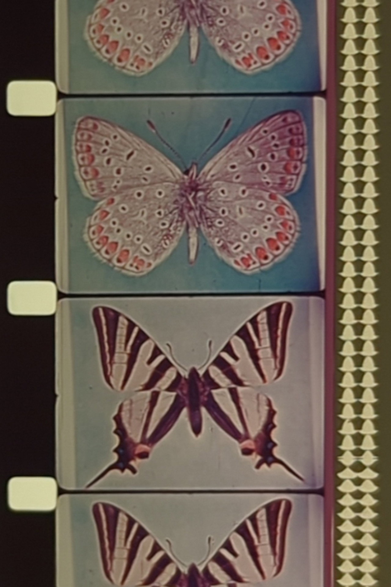Triptych