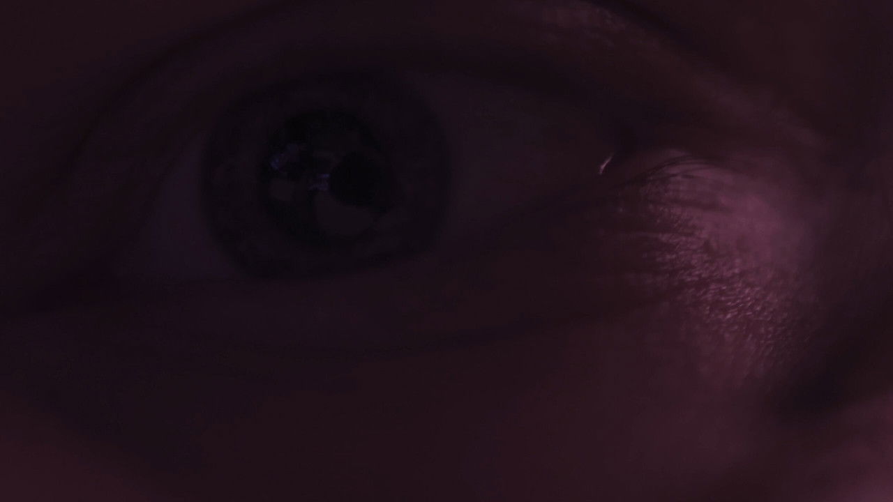 collection de divers courts et essais