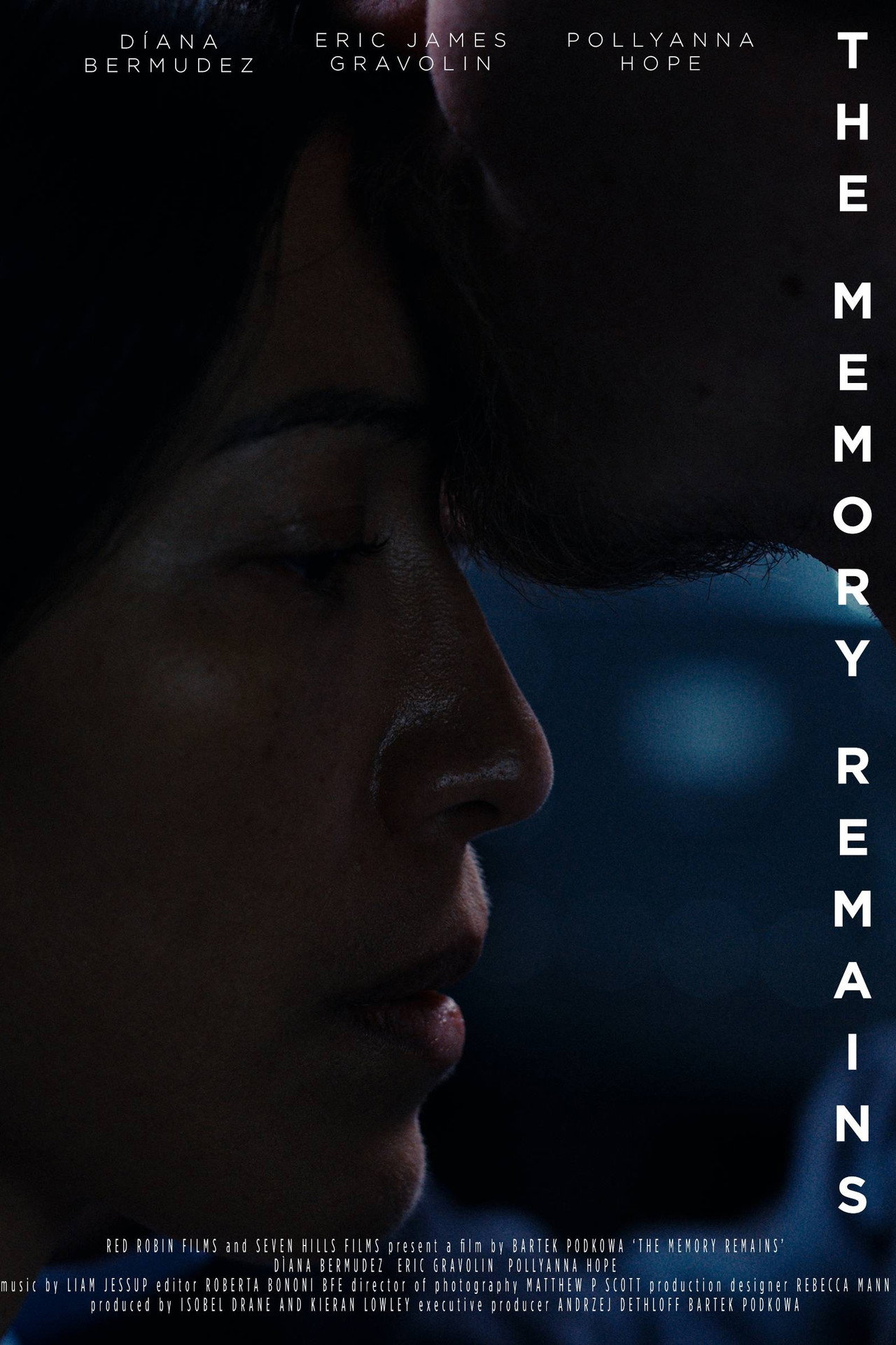 The Memory Remains