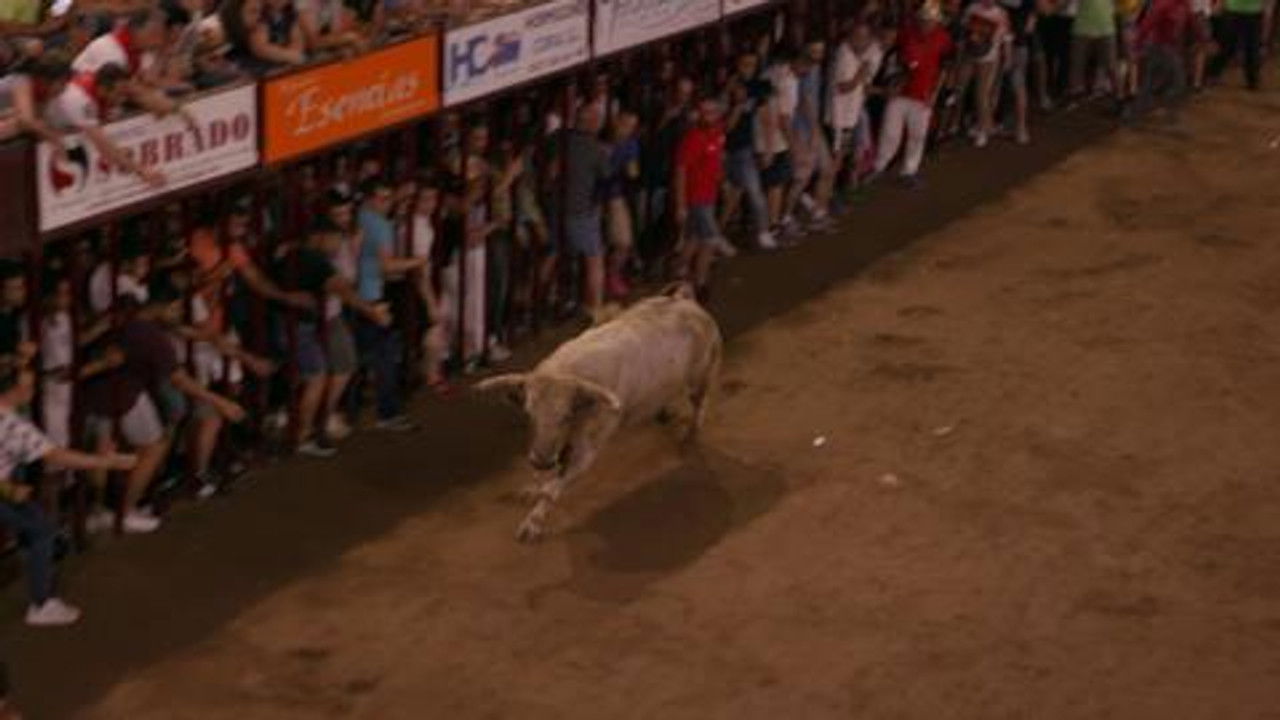 Wild Frank — Épisode 4