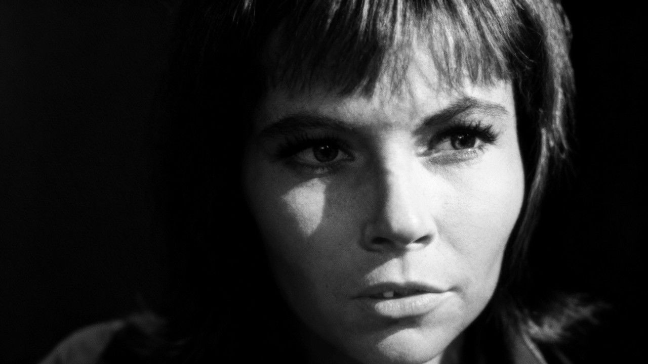 Peyton Place — Épisode 108