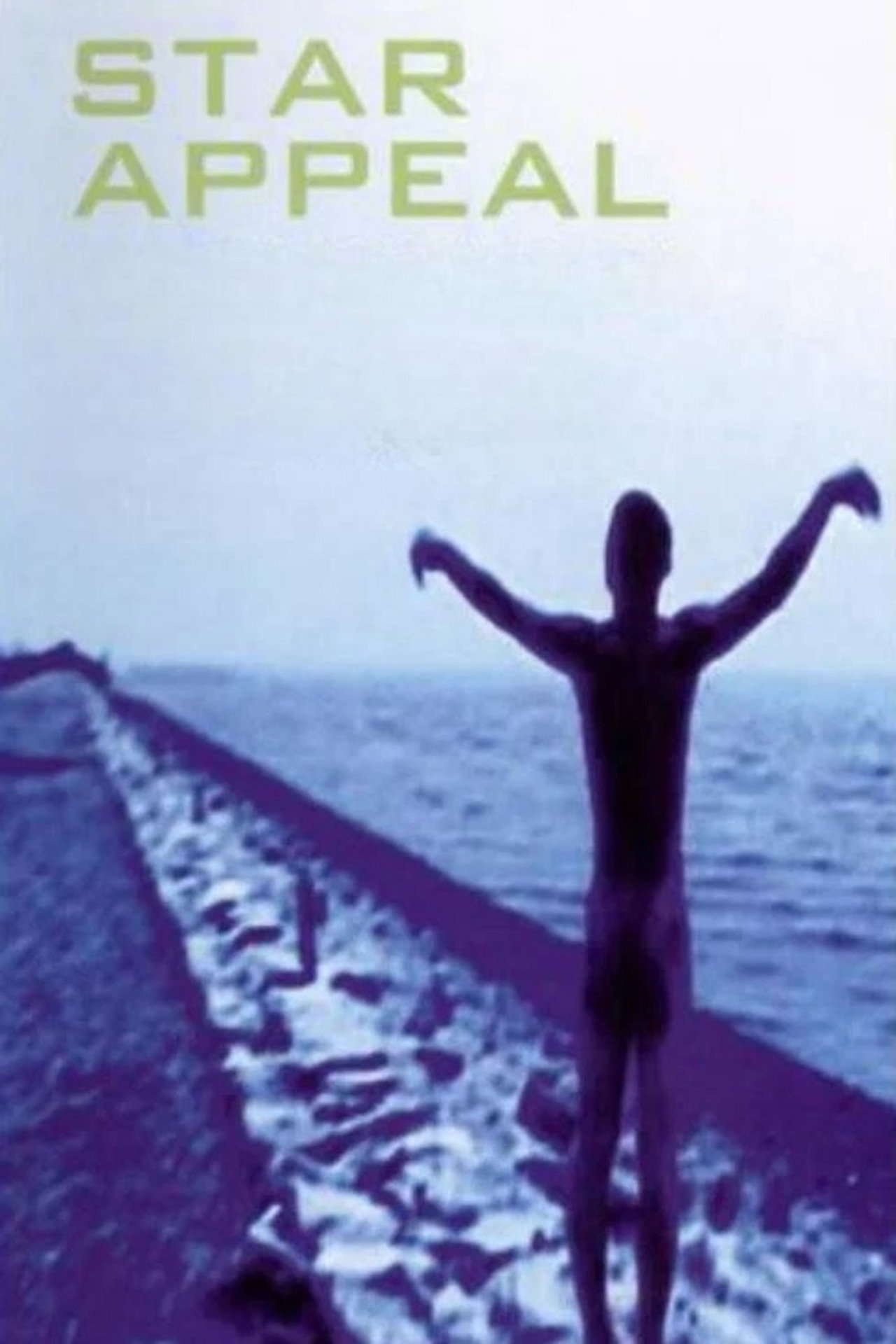 星星相吸惜 filmaffisch