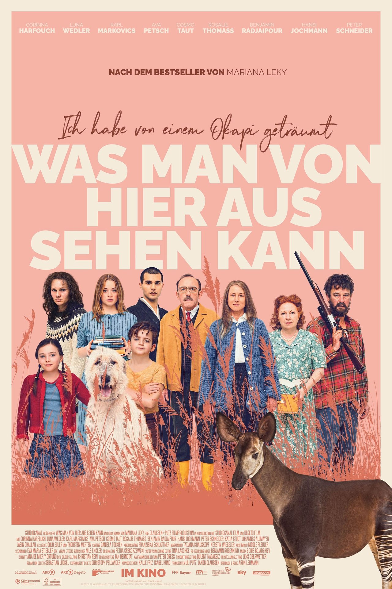 Le rêve de l'Okapi poster
