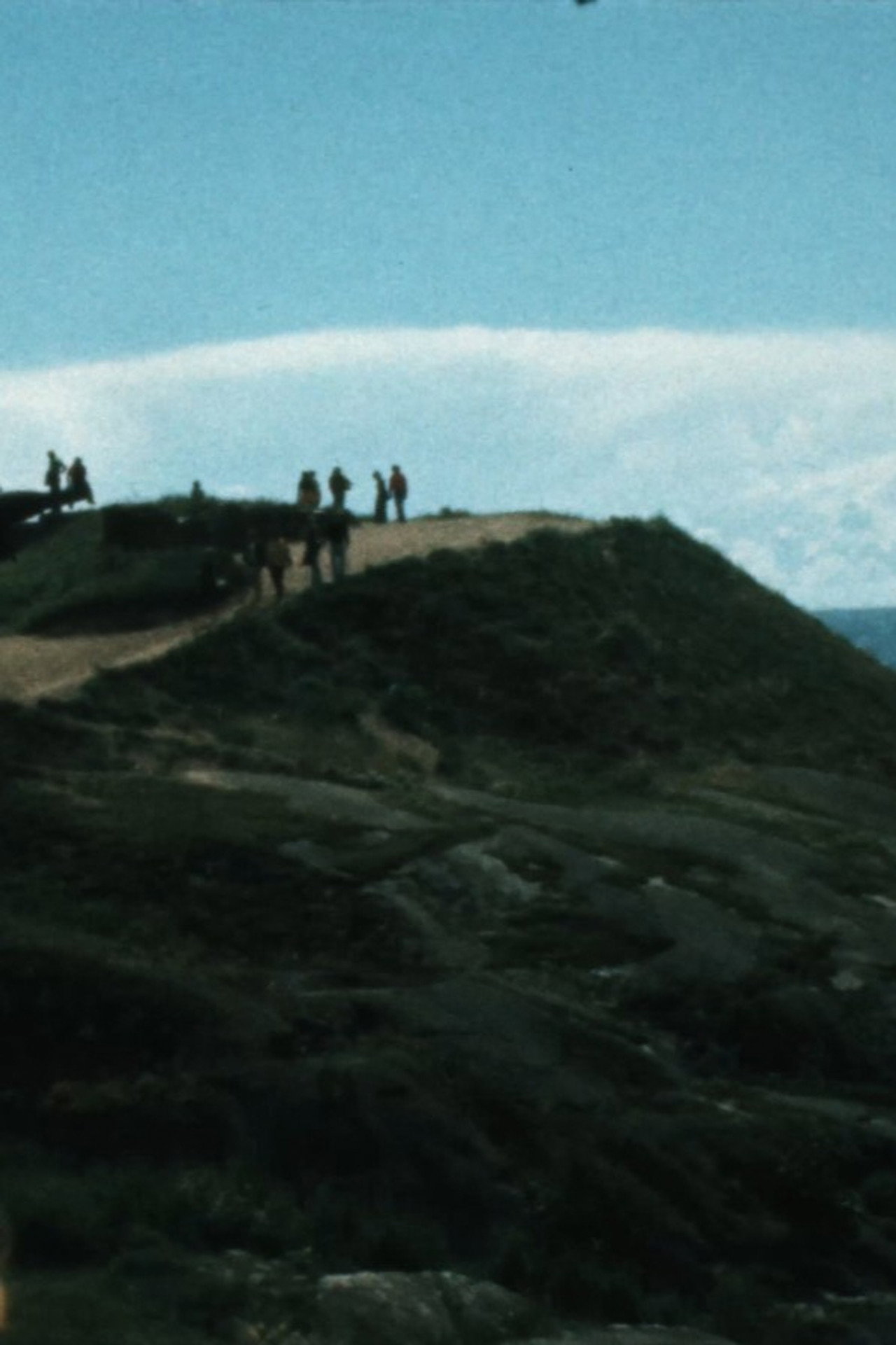 Antti Peippo – The Tourist