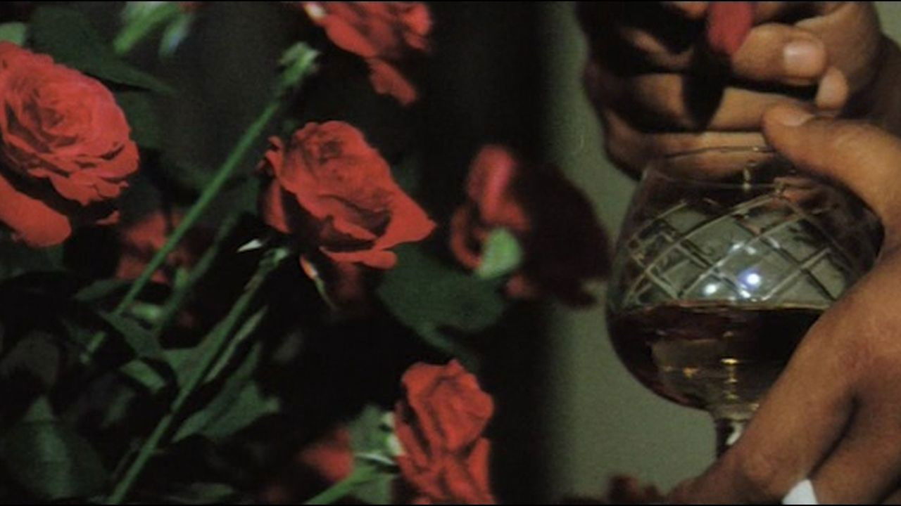 Stray Cat Rock: Sex Hunter