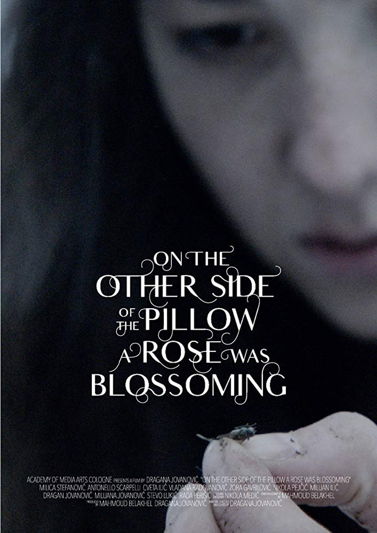 On the Other Side of the Pillow a Rose Was Blossoming Backdrop