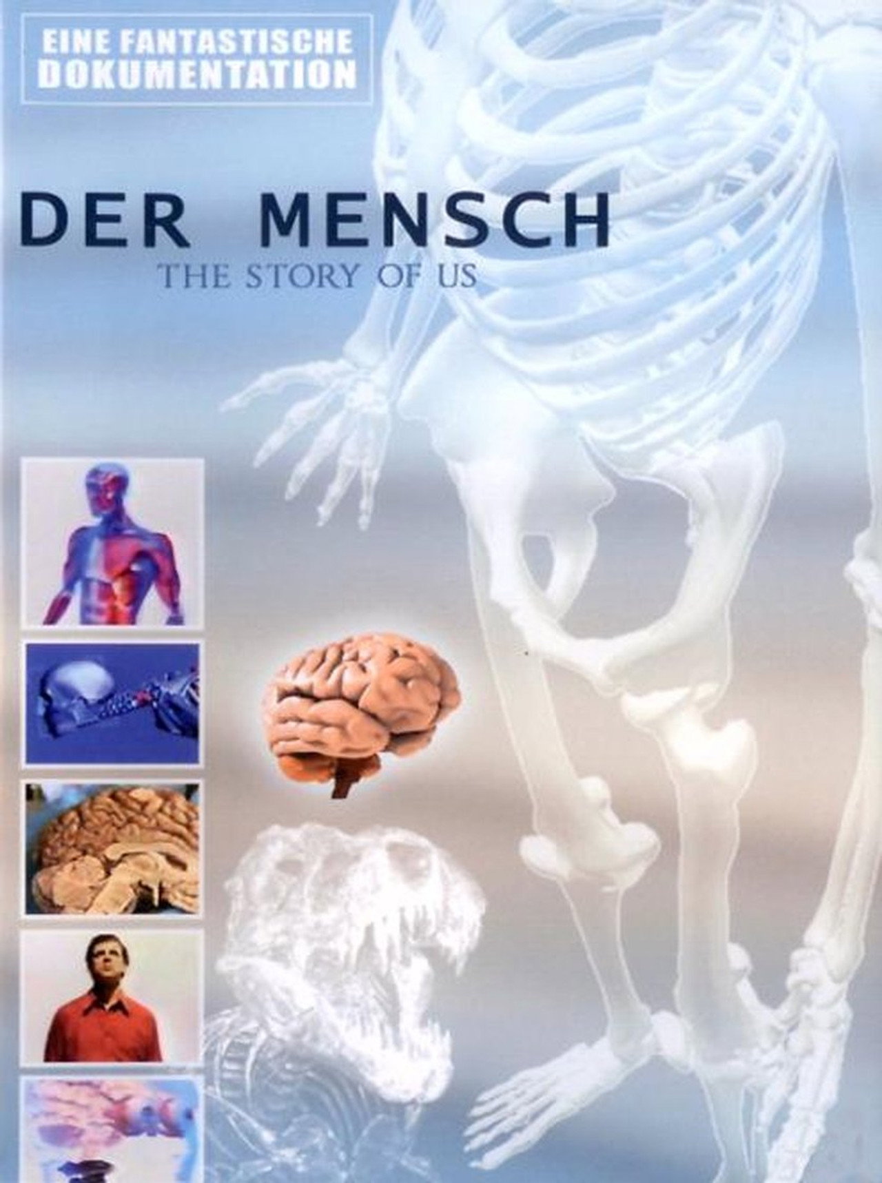 Der Mensch - The Story of Us filmaffisch