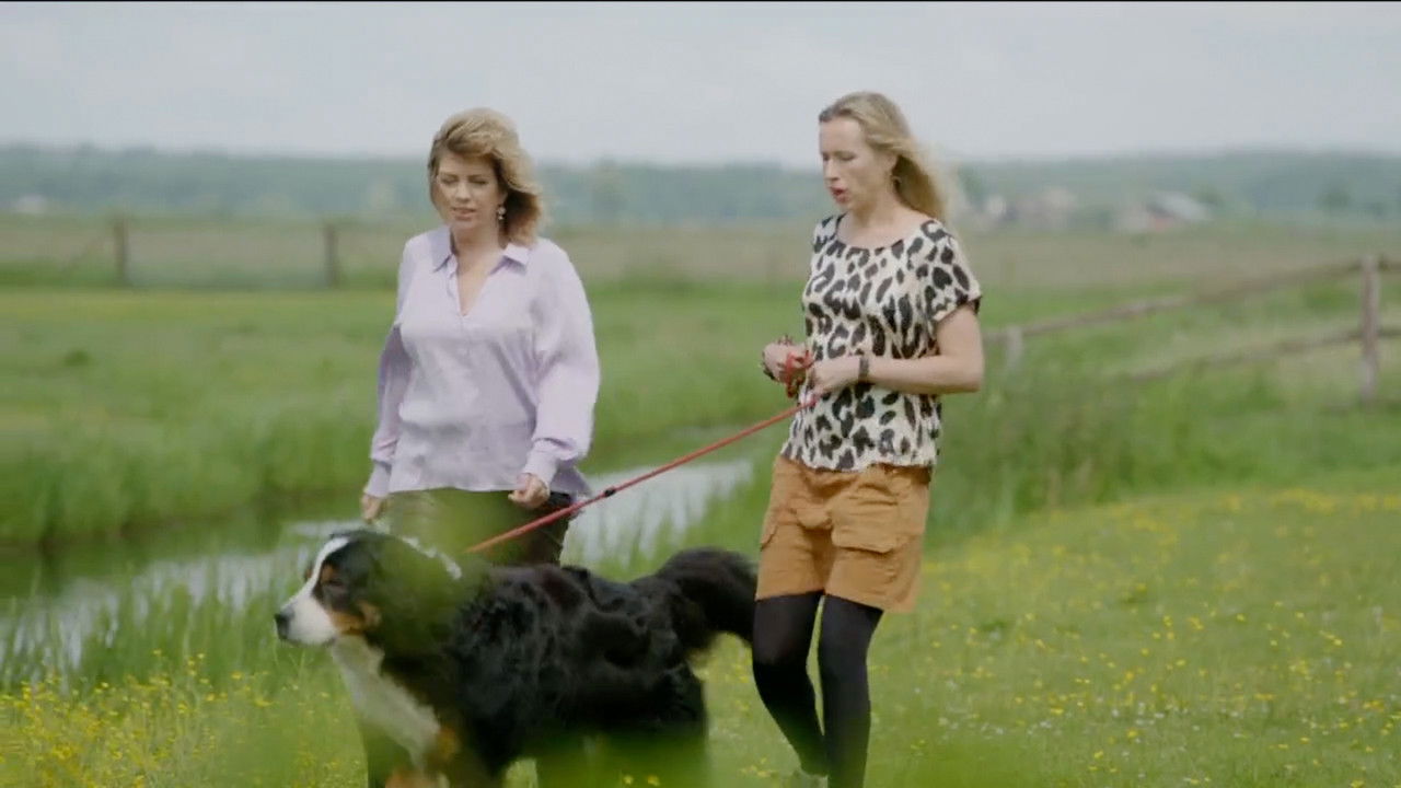 De Verwondering — Épisode 24