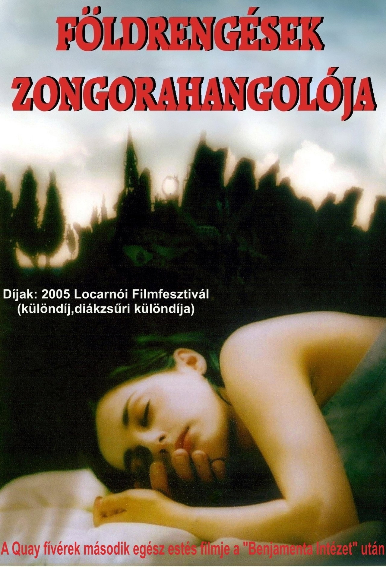 Földrengések zongorahangolója – plakát 5