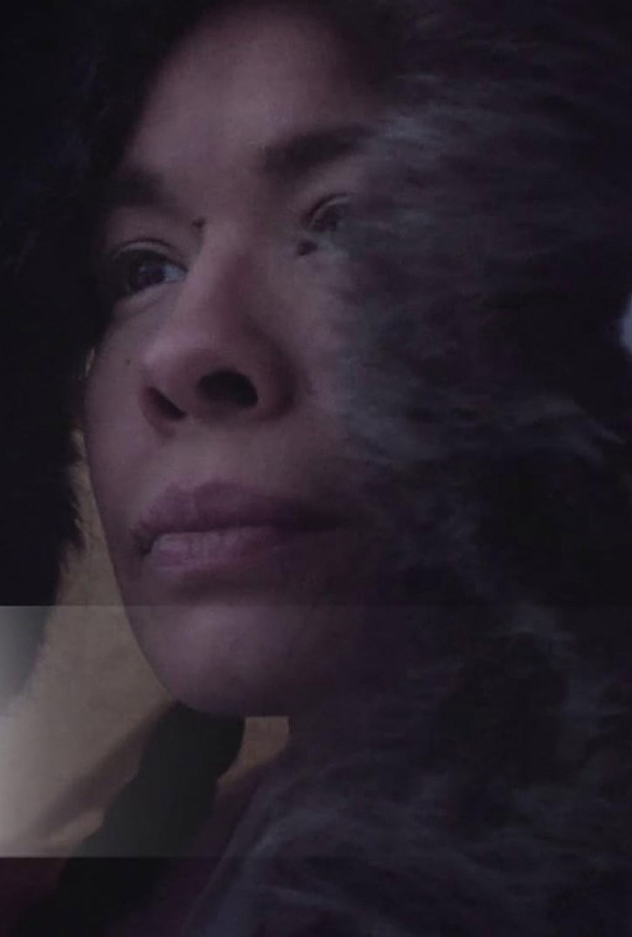 Heritage Minutes: Kenojuak Ashevak Backdrop