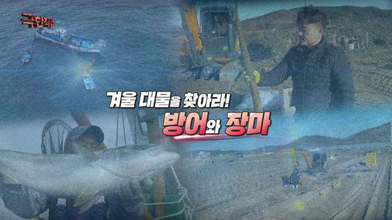 Extreme Job - Season 1 Episode 1211 : Episode 1211