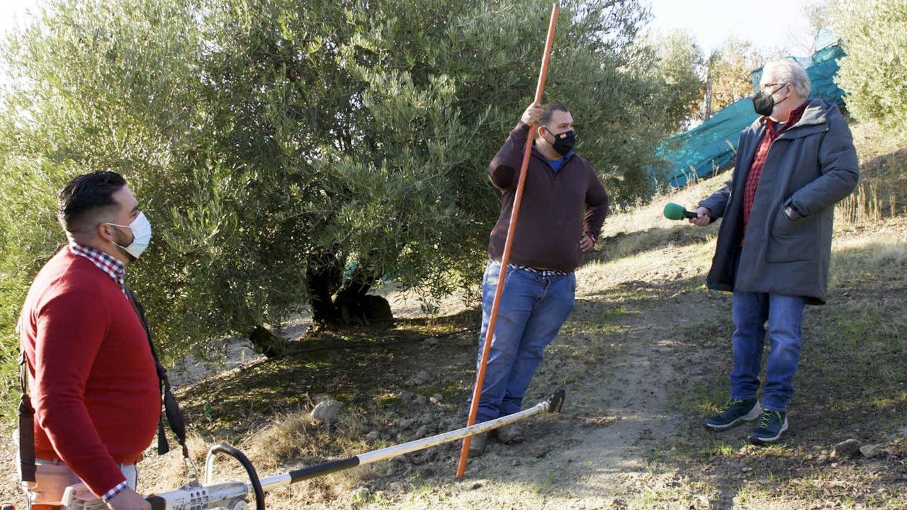 El paisano — Épisode 8