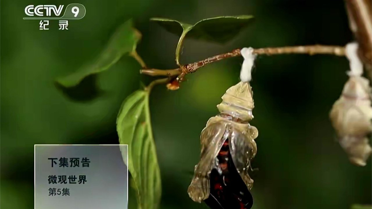 微观世界