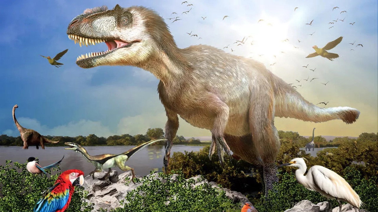 La fabuleuse histoire des oiseaux, des dinosaures parmi nous still 7