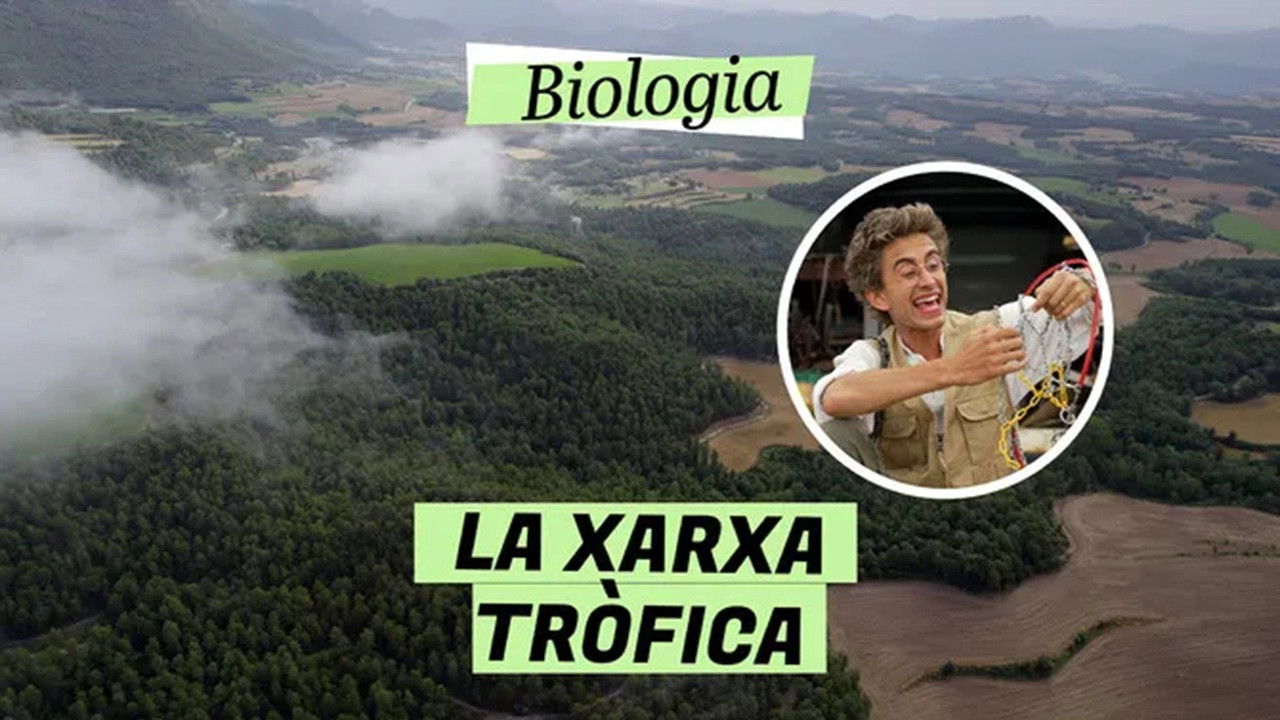 Biologia — Épisode 8