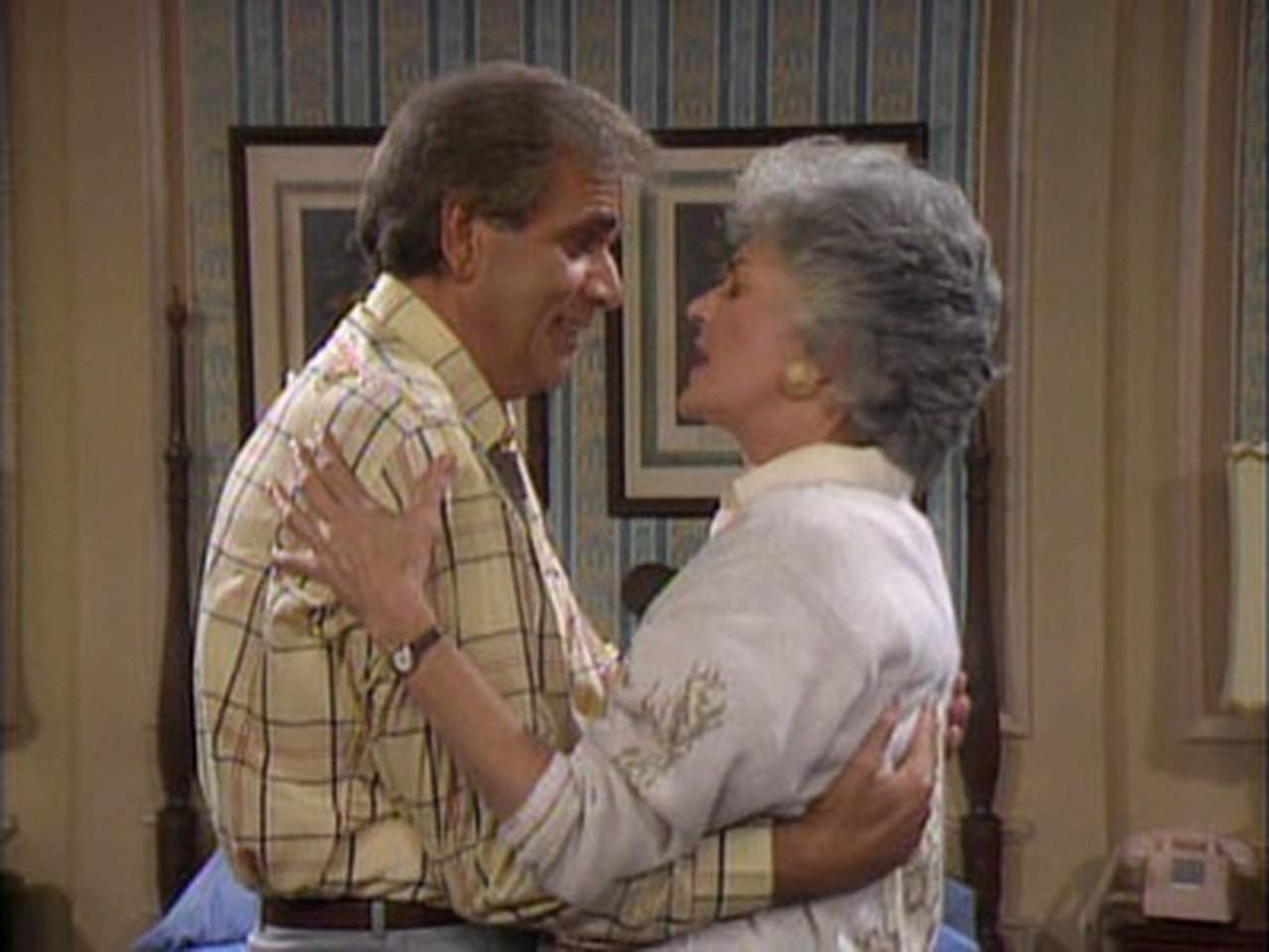 The Golden Girls - Season 1 Episode 14 : That Was No Lady