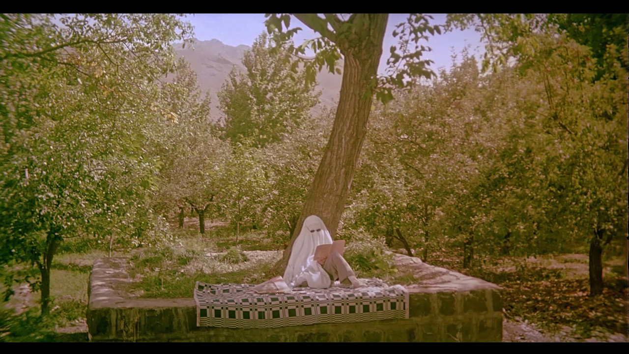 The Pear Tree backdrop