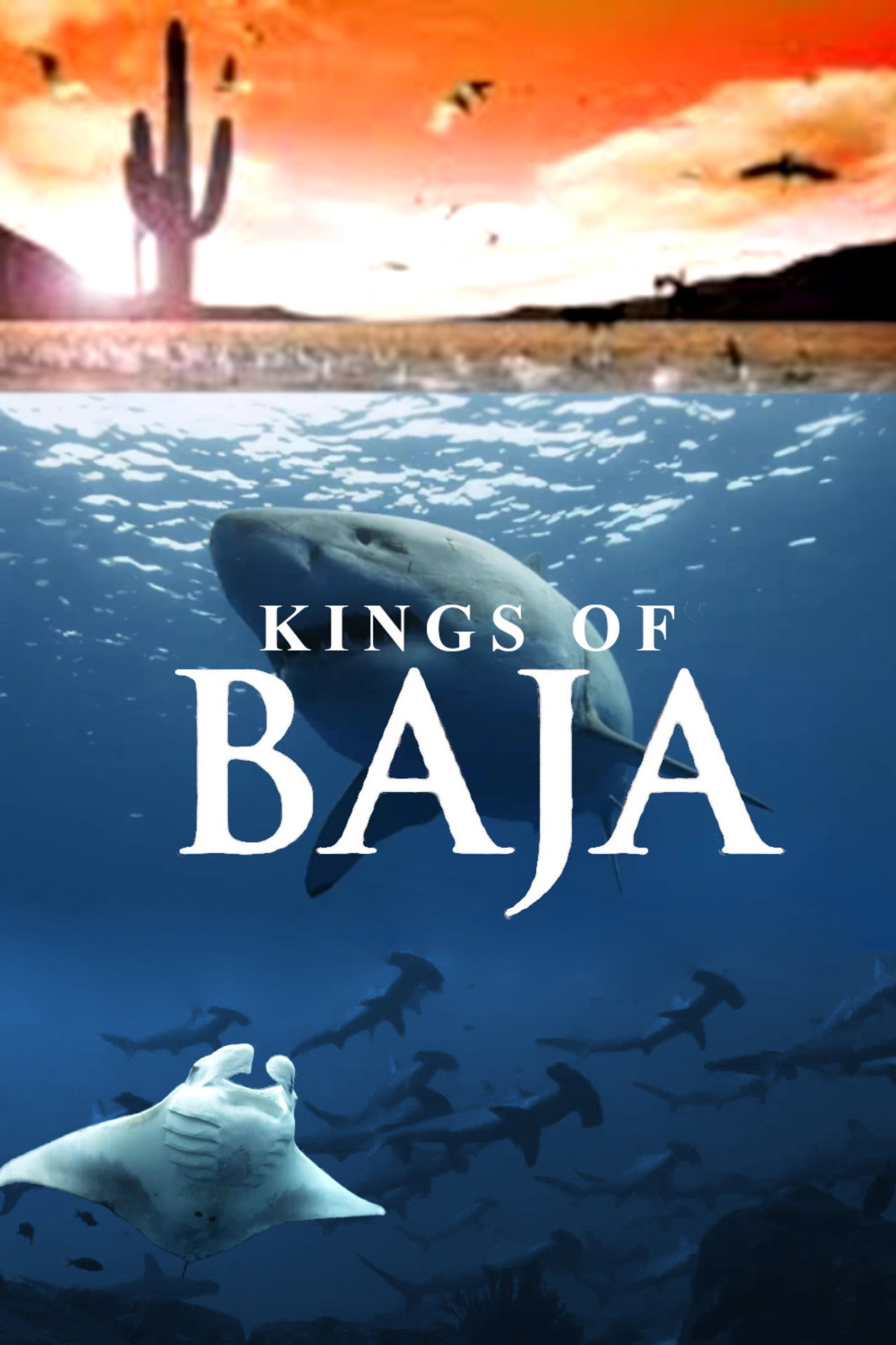 Kings of Baja filmaffisch