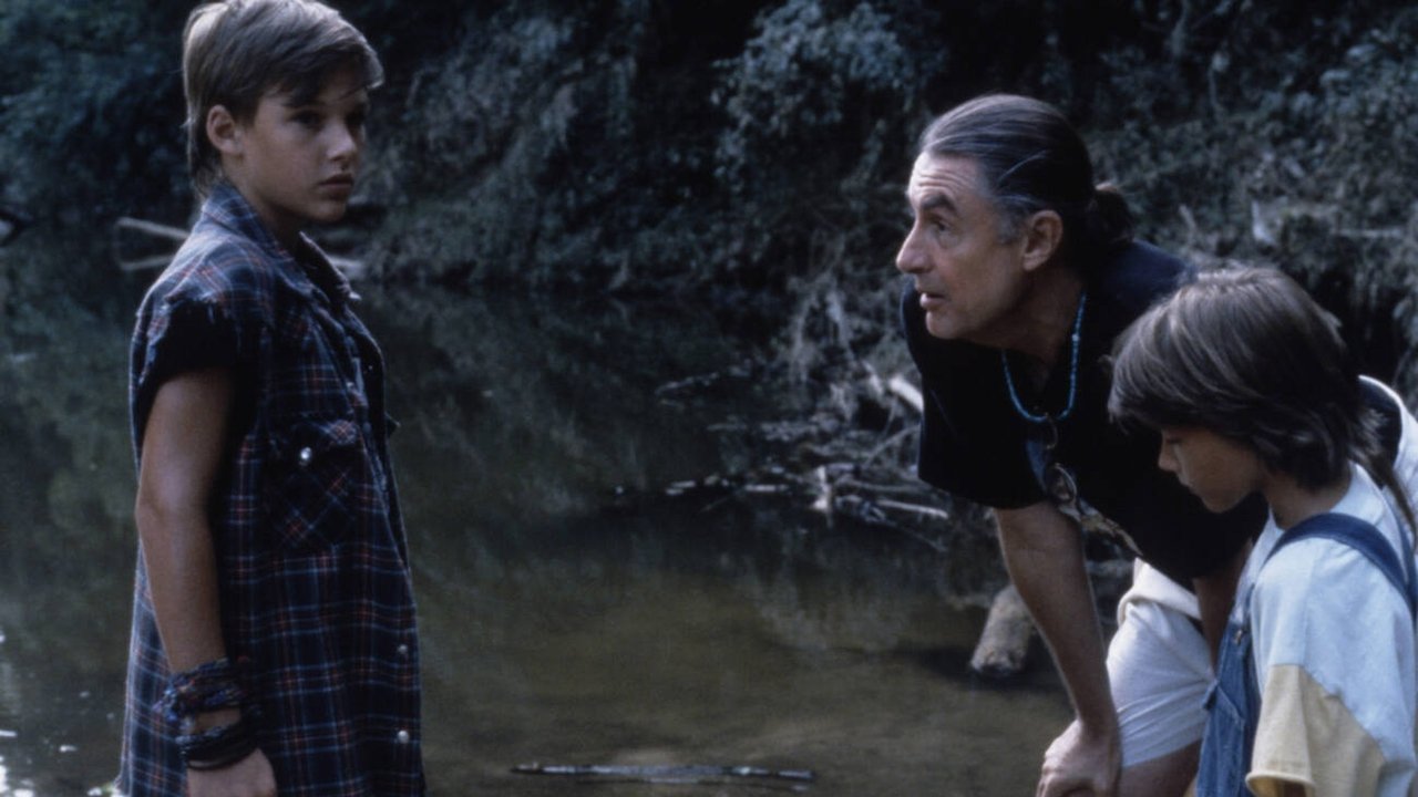 The Client (1994)
