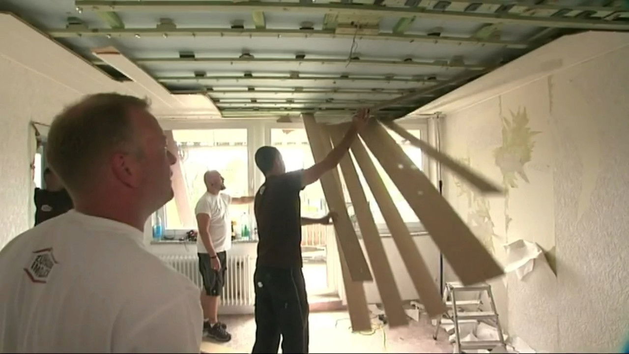 Zuhause im Glück – Unser Einzug in ein neues Leben — Épisode 16