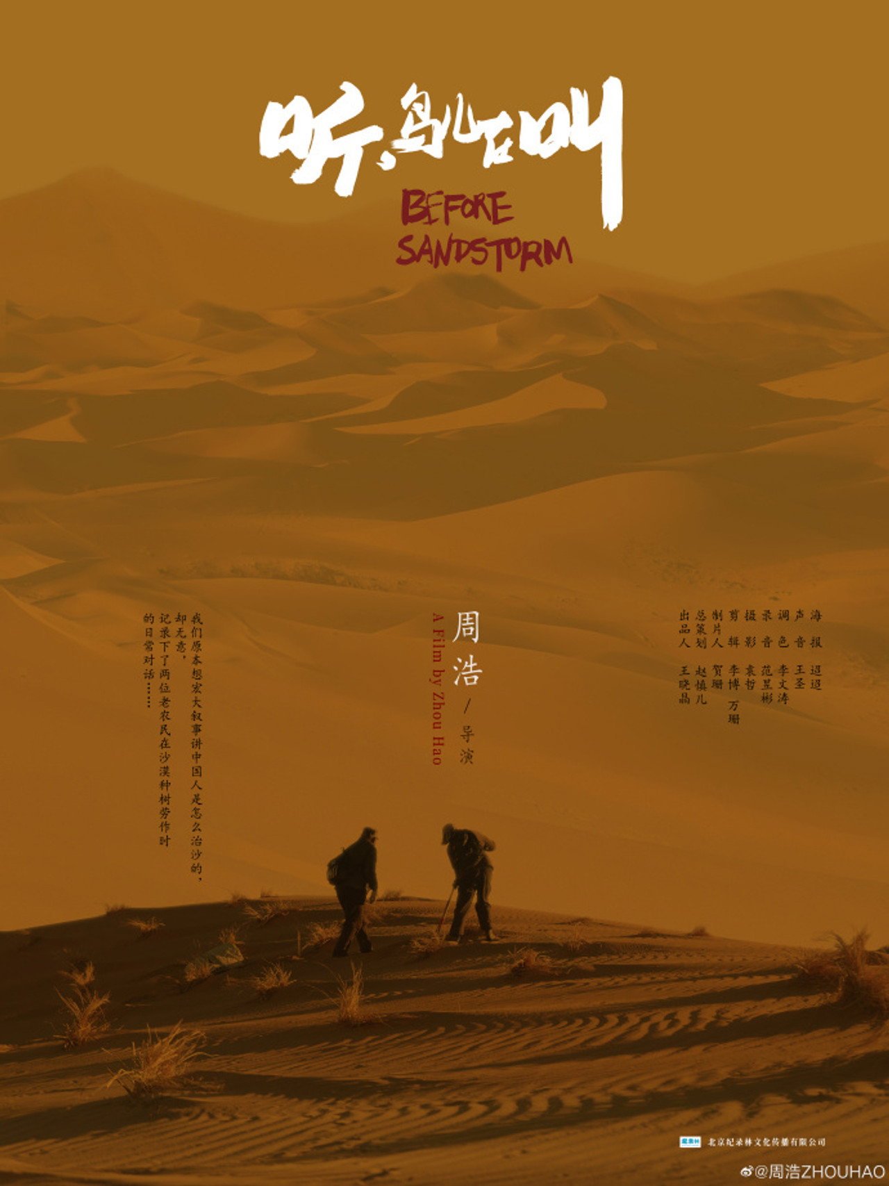 听,鸟儿在叫 filmaffisch
