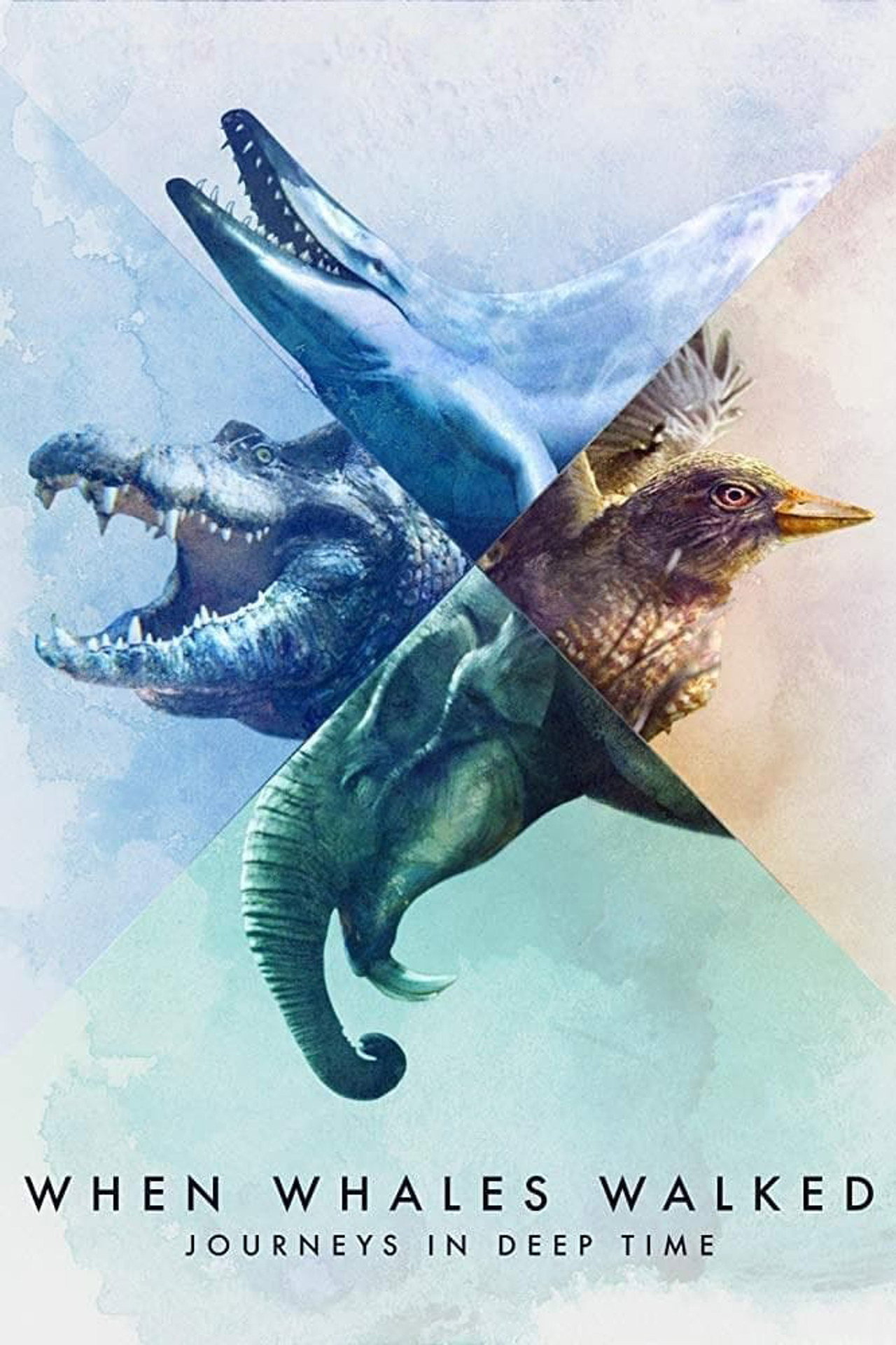 When Whales Walked: Journeys in Deep Time affisch