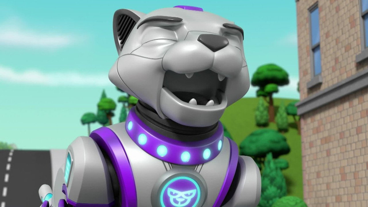 PAW Patrol 9. Sezon 13. Bölüm