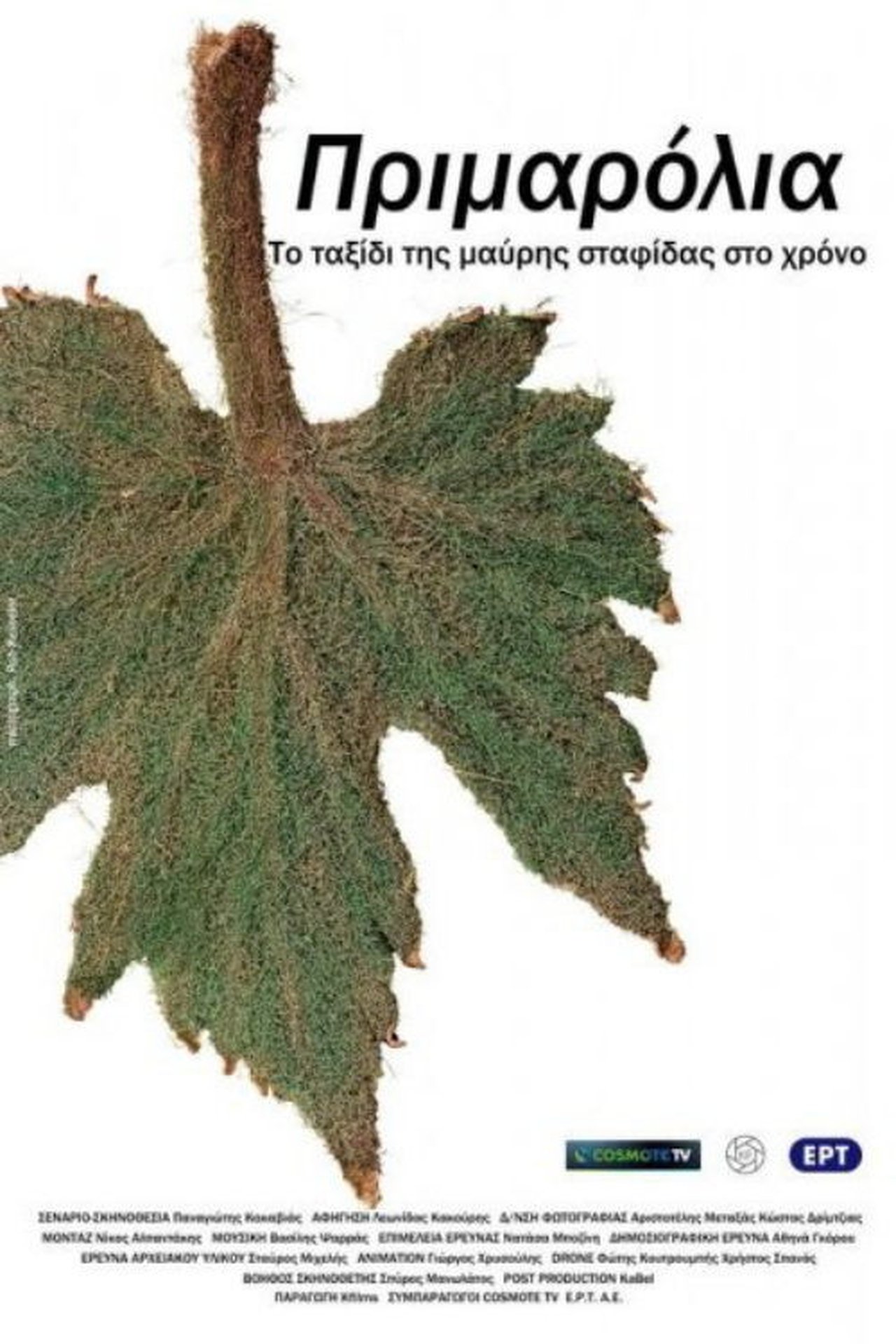 Πριμαρόλια Πριμαρόλια