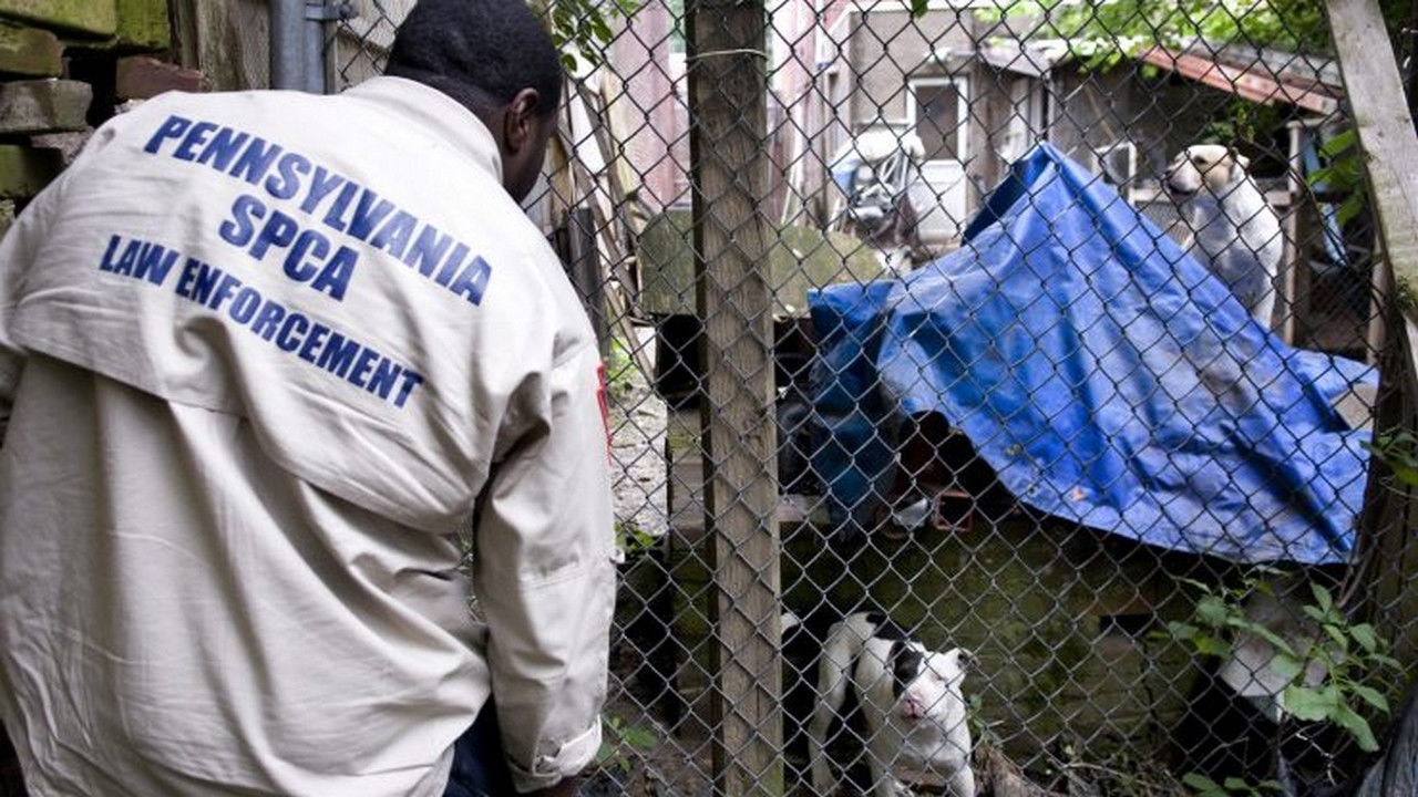 Animal Cops : Philadelphia — Attaque à la machette