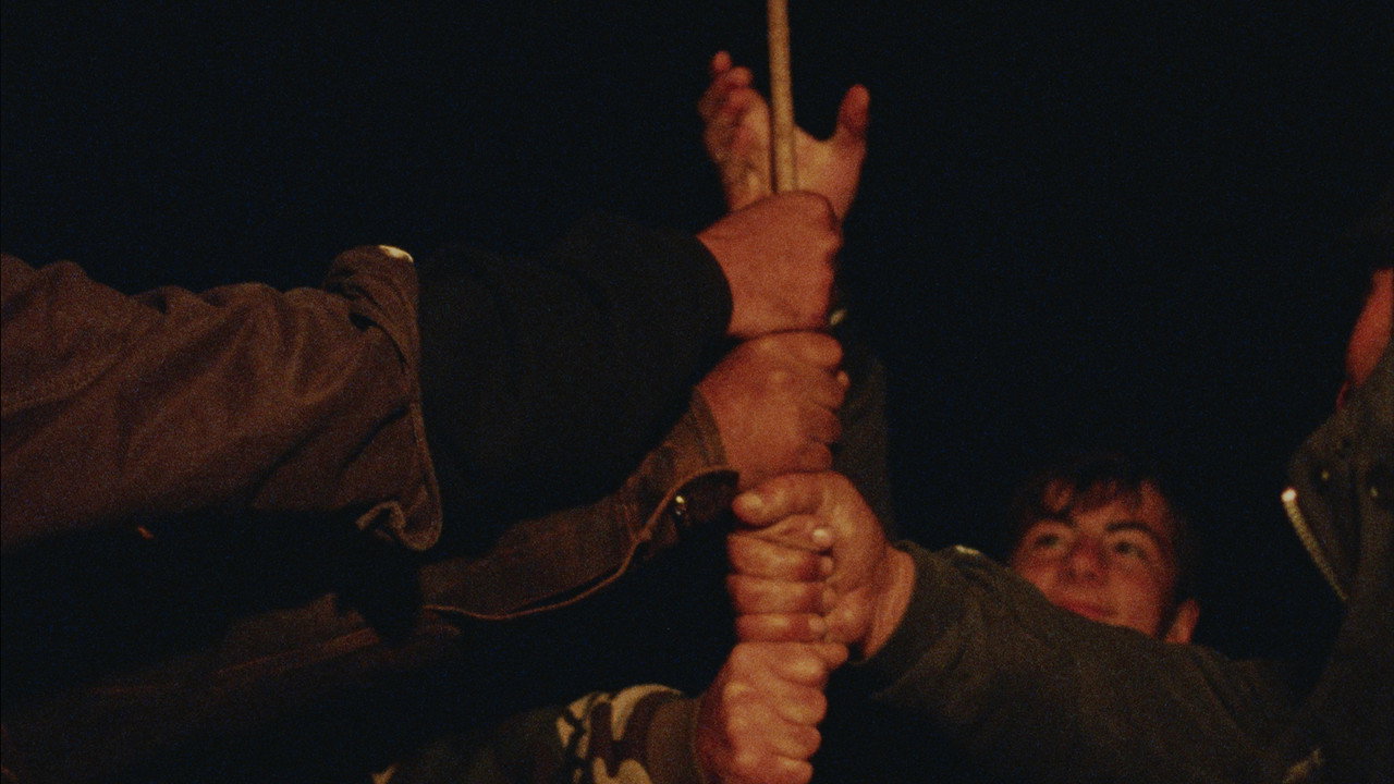 The Wind Blows Wherever It Wants