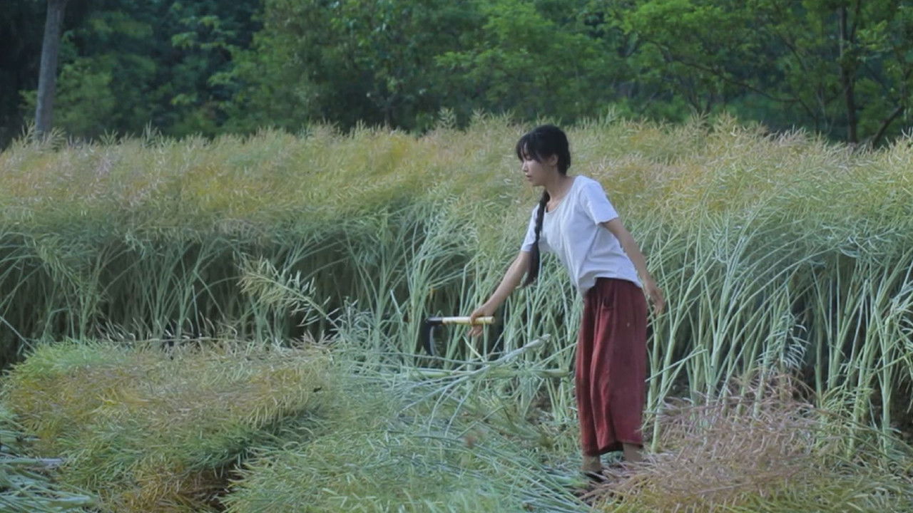 李子柒全集 — Épisode 11