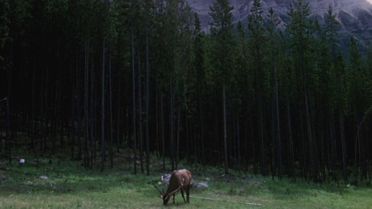 Concerto for Water, Sun and Wilderness still 3