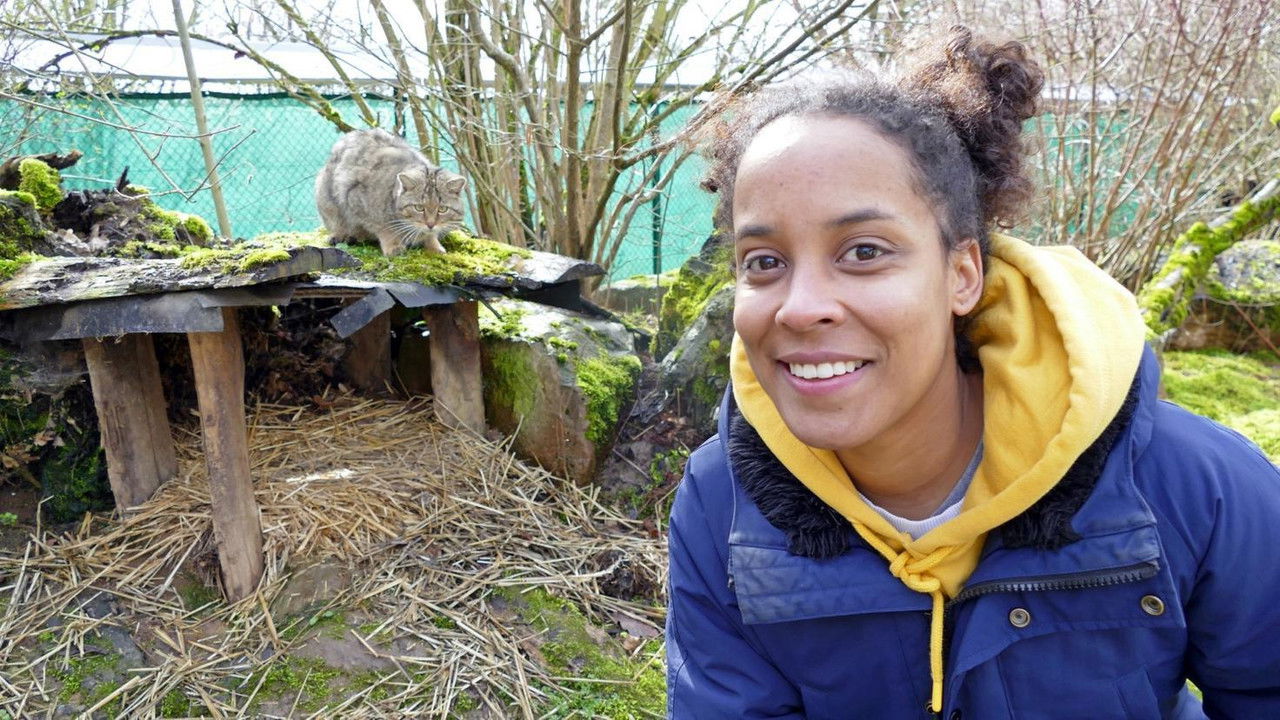 Pia und die wilden Tiere — Épisode 2