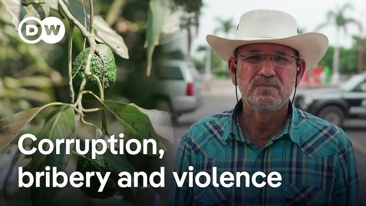 DW Documentary - Season 9 Episode 52 : The cartels that control Mexico's mega market