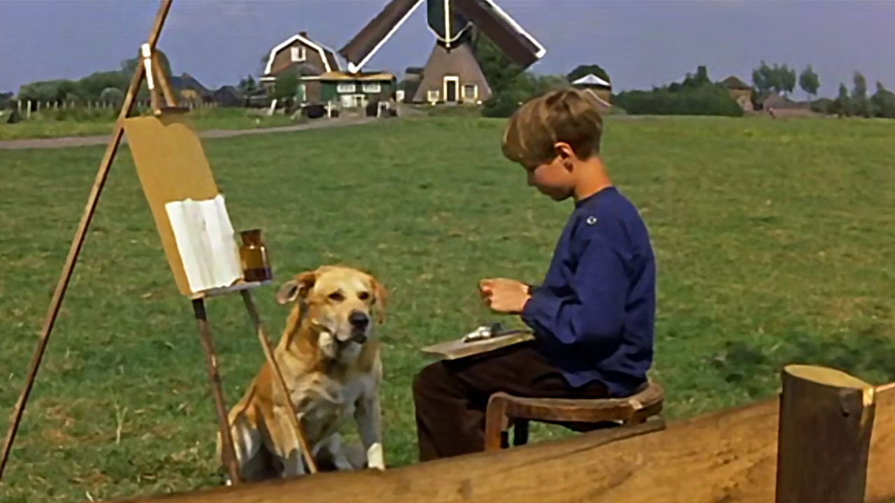 A Dog of Flanders backdrop