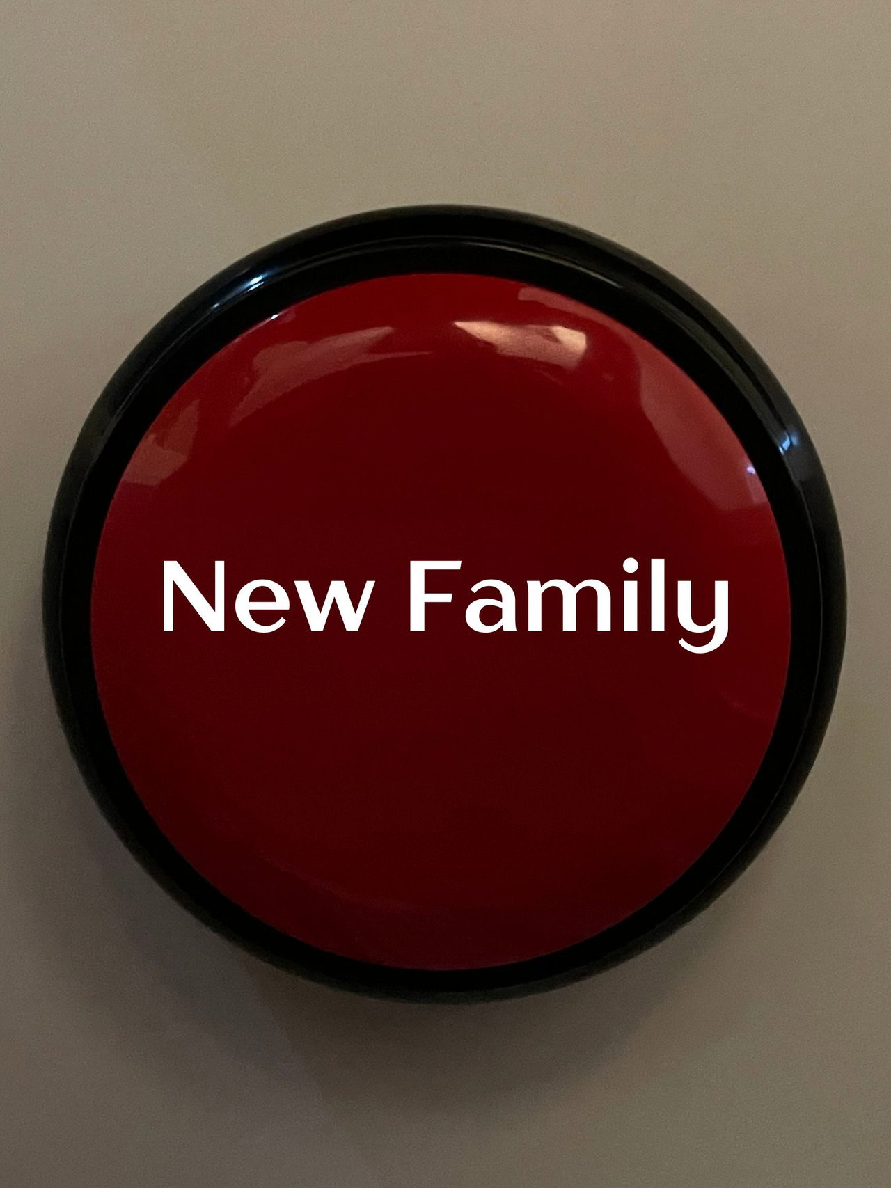 New Family filmaffisch