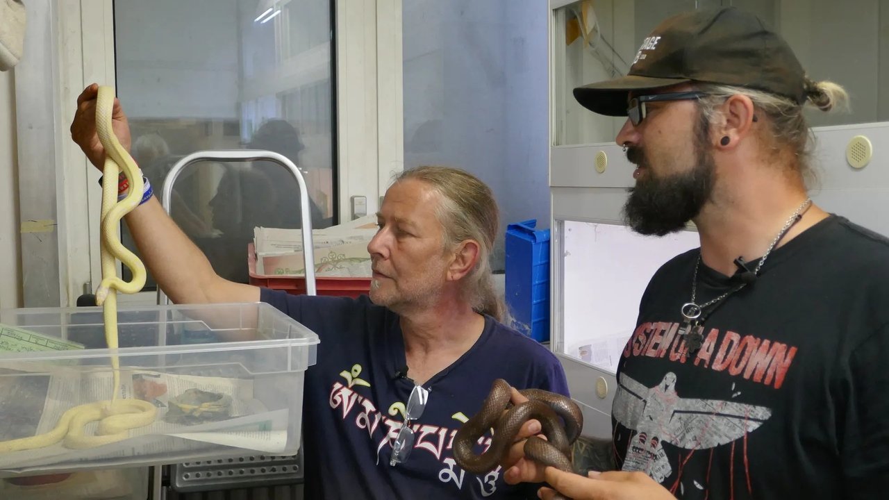 ARTE Re: - Season 7 Episode 161 : Episode 161