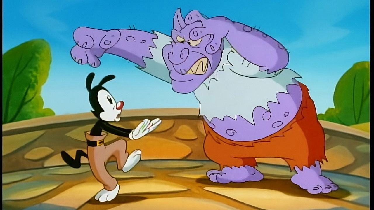 Les Animaniacs — Troll qui peut