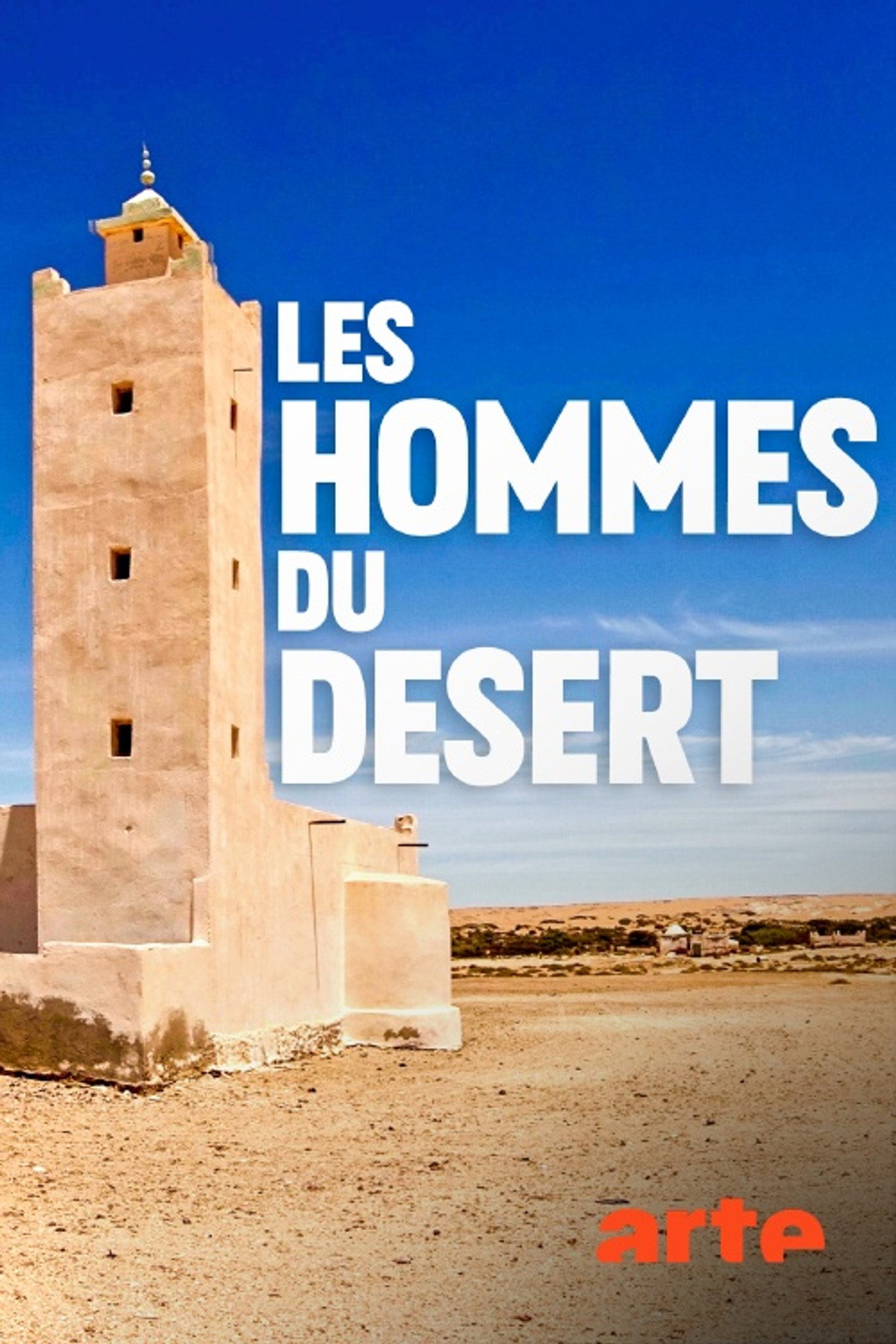 Les hommes du désert : dans les pas des chameliers du Sahara filmaffisch
