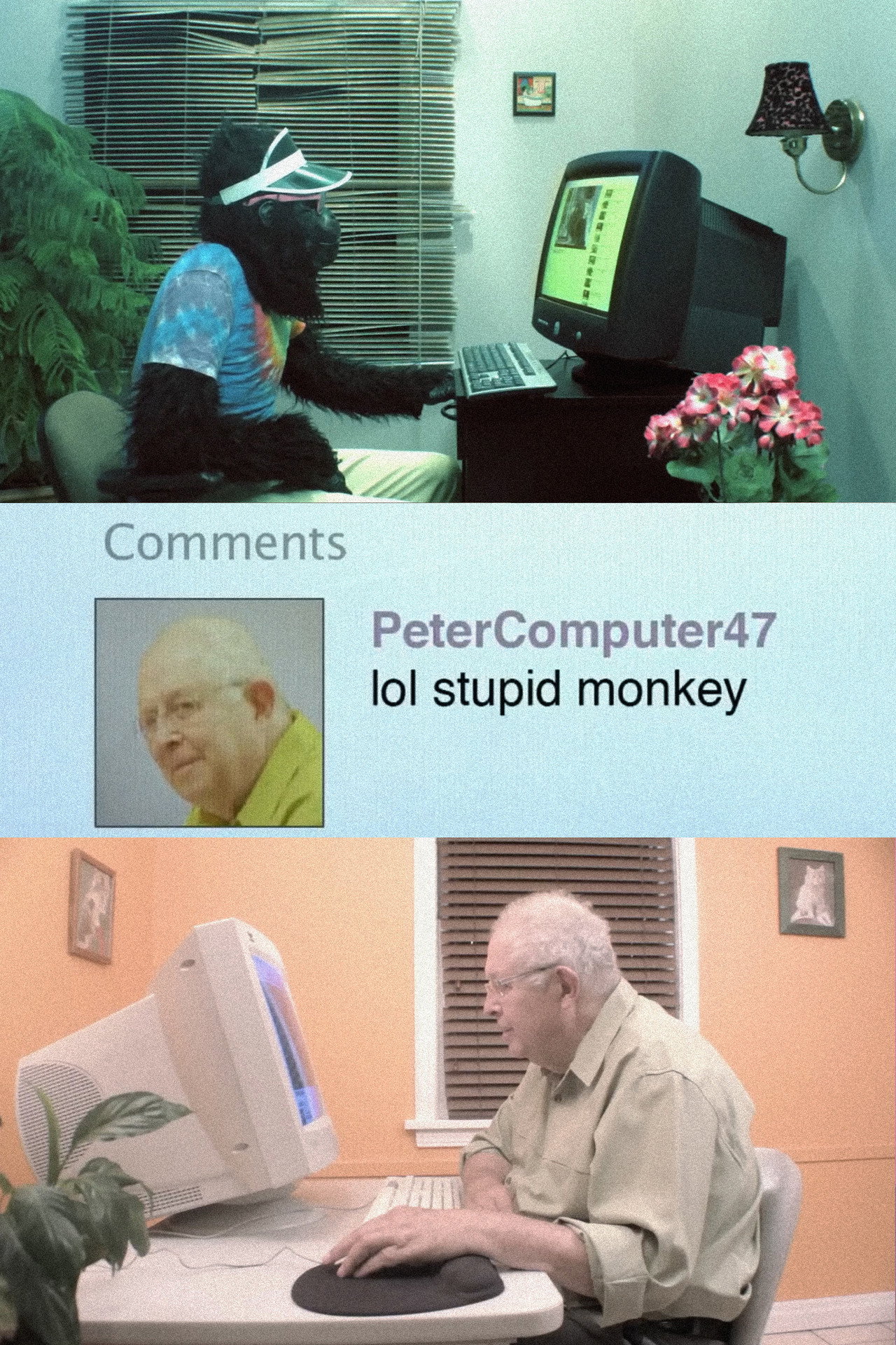 Peter's Computer - Gorilla Video filmaffisch