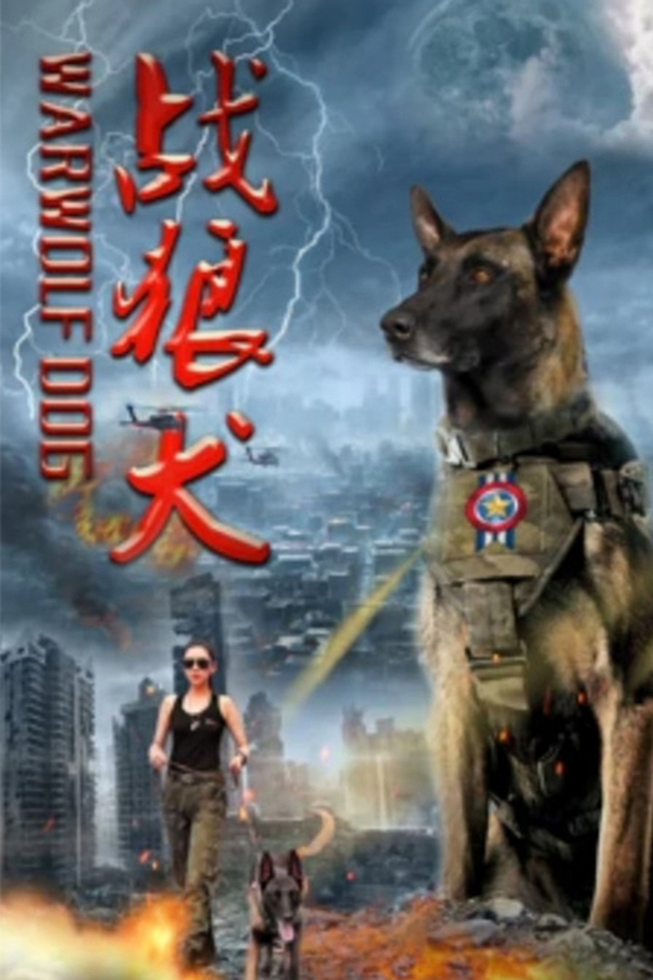 战狼犬 filmaffisch