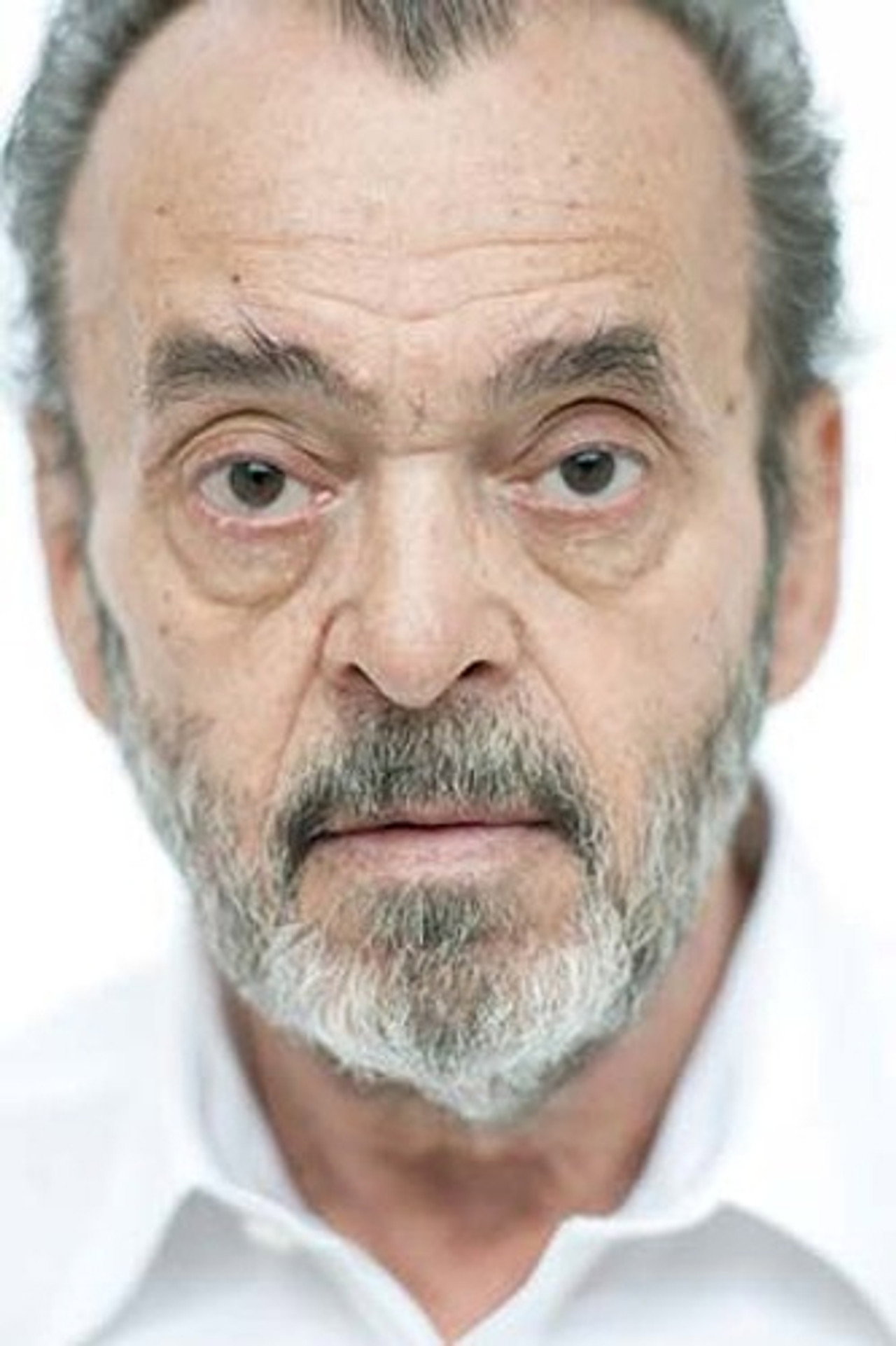 Fritz Schediwy