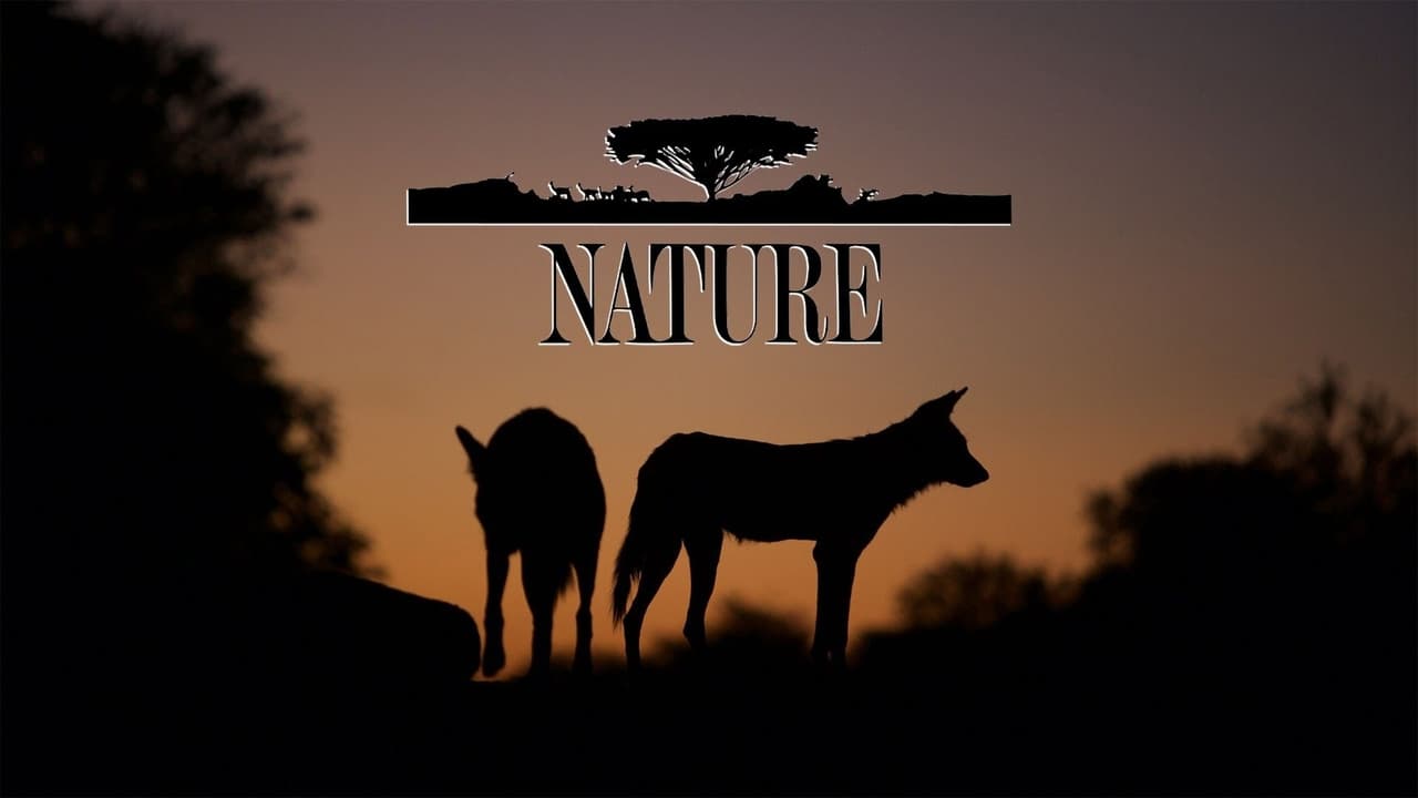 Nature - Season 1 Episode 5 : Kopje: A Rock for All Seasons