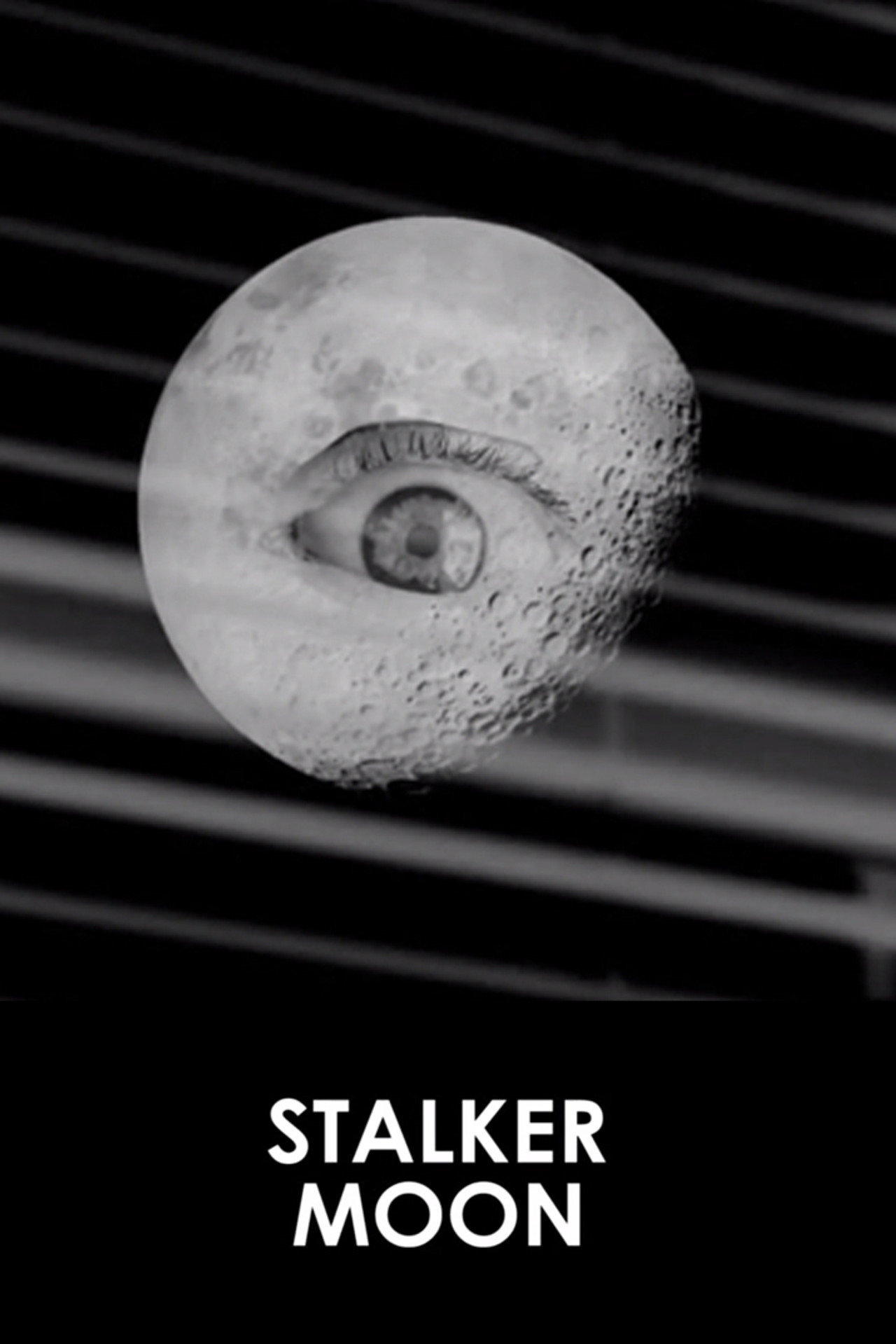 Stalker Moon Backdrop